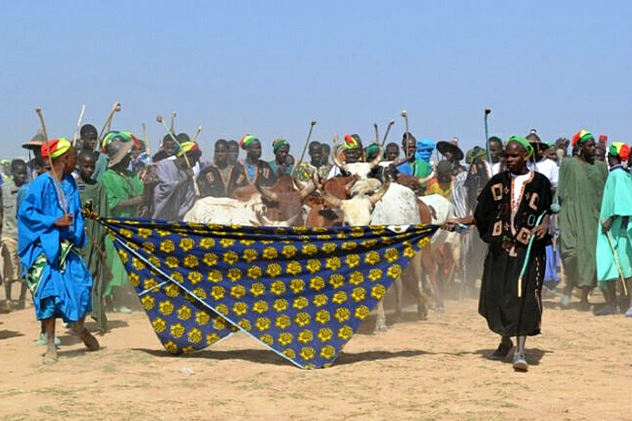 Understanding Fulani Perspectives on the Sahel Crisis